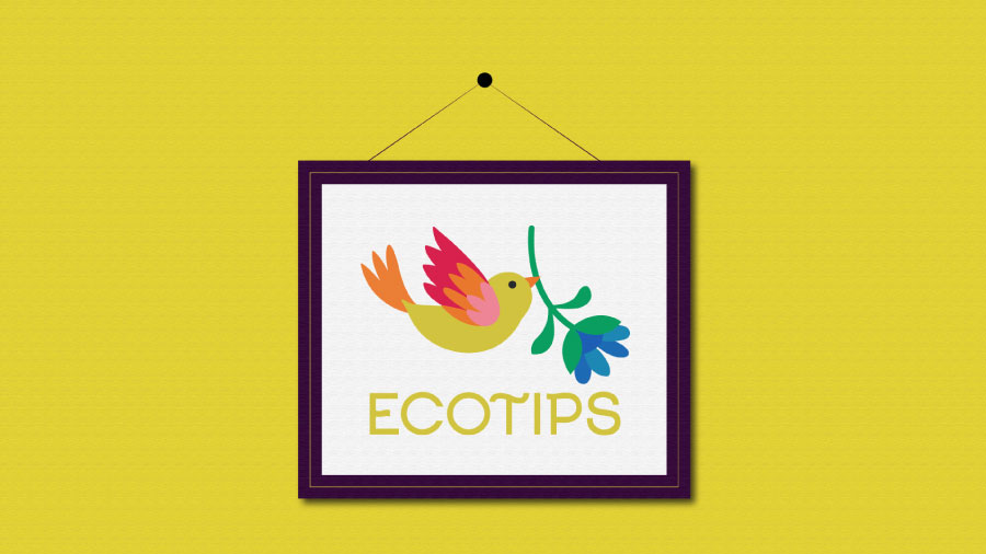 ECOTIPS